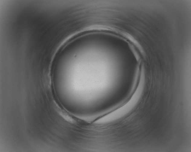 X0000082951372200702081638