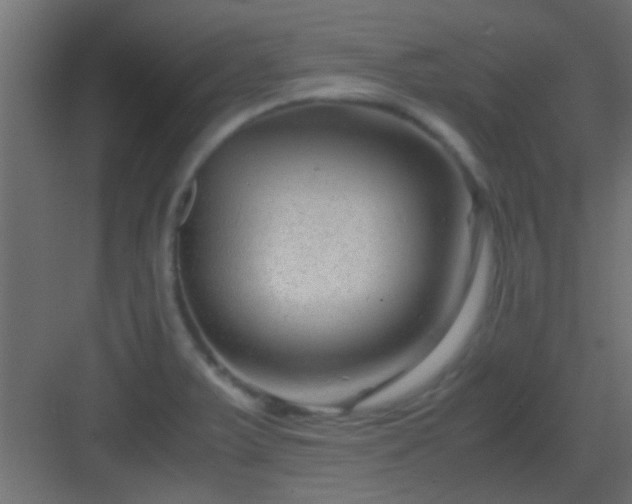 X0000082951375200702081638