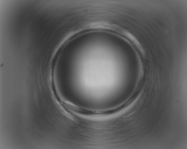 X0000082951376200702081638