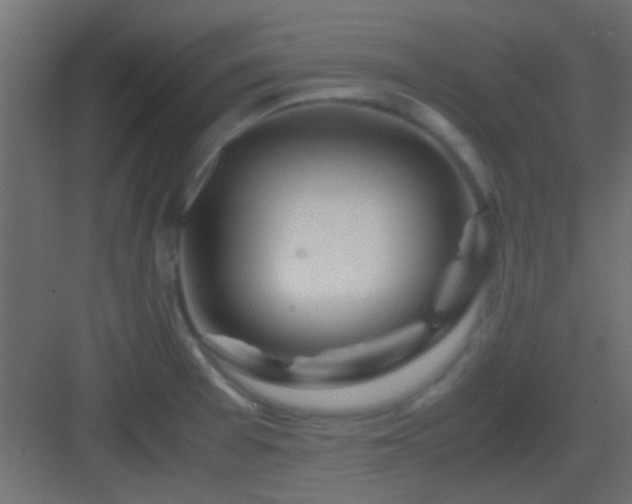 X0000082951377200702081638