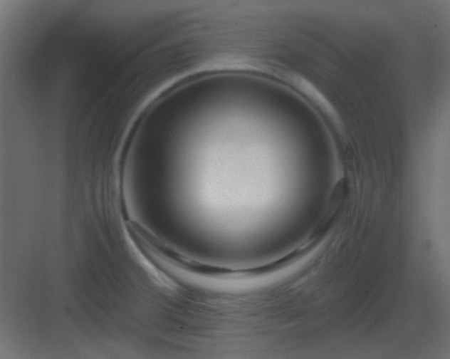 X0000082951380200702081638