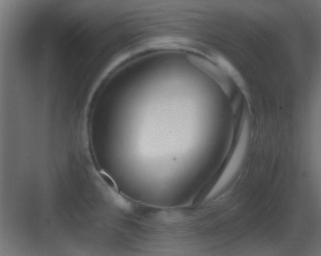 X0000082951384200702081638