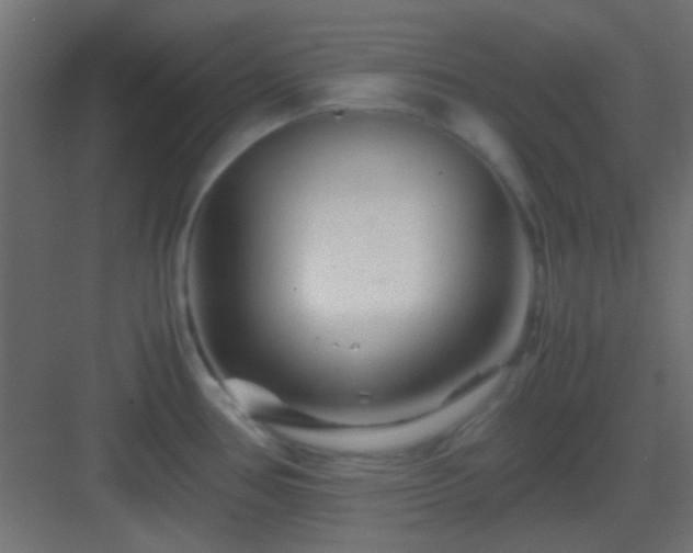 X0000082951386200702081638