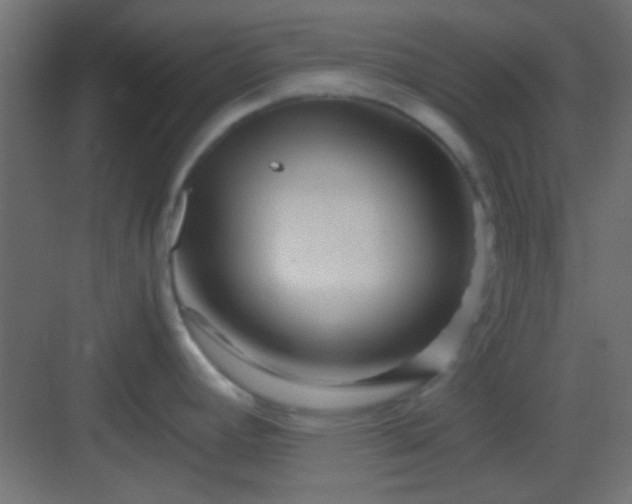 X0000082951392200702081638