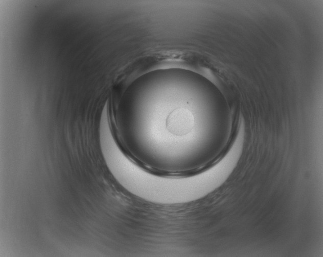 X0000082951394200702081637