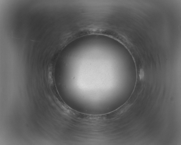 X0000082951396200702081637