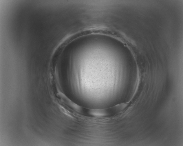 X0000082951400200702081637