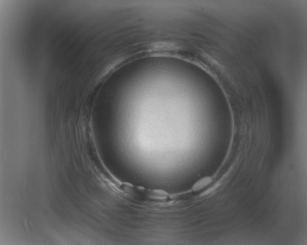 X0000082951401200702081637