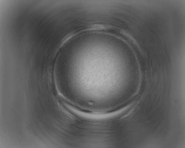 X0000082951409200702081637
