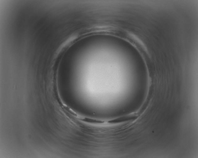 X0000082951411200702081637