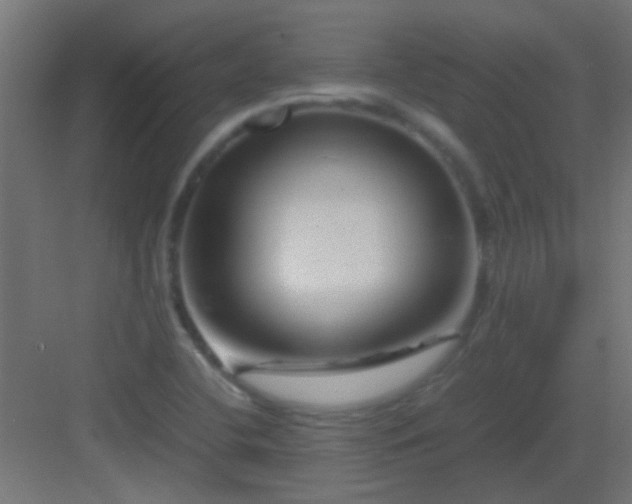 X0000082951412200702081638
