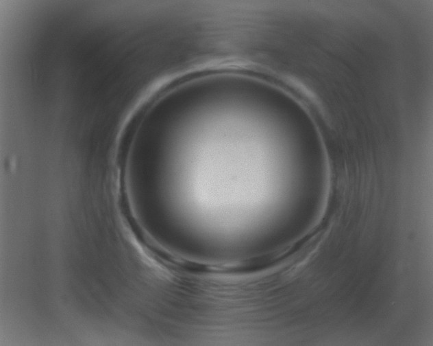 X0000082951414200702081638