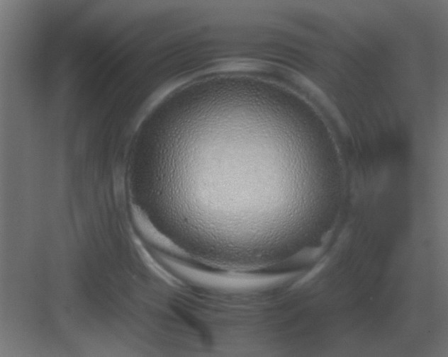 X0000082951417200702081638