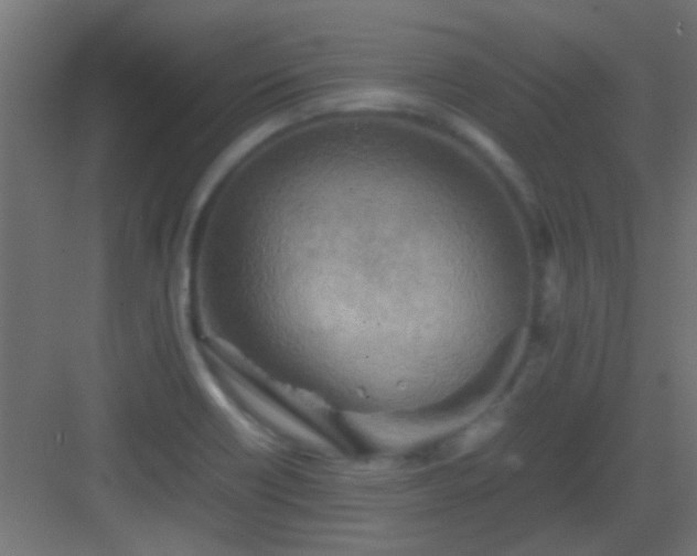 X0000082951418200702081638