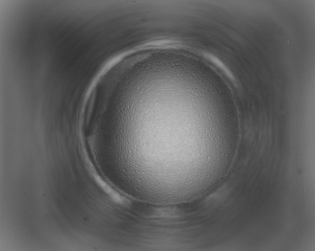 X0000082951421200702081638