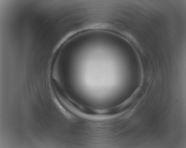 X0000082951422200702081638