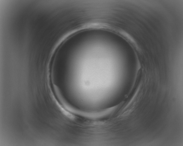 X0000082951430200702081638