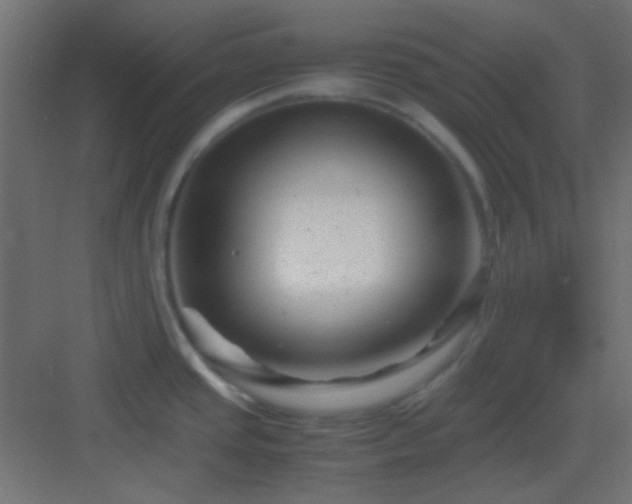 X0000082951437200702081638
