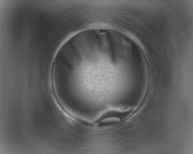 X0000082951440200702081638