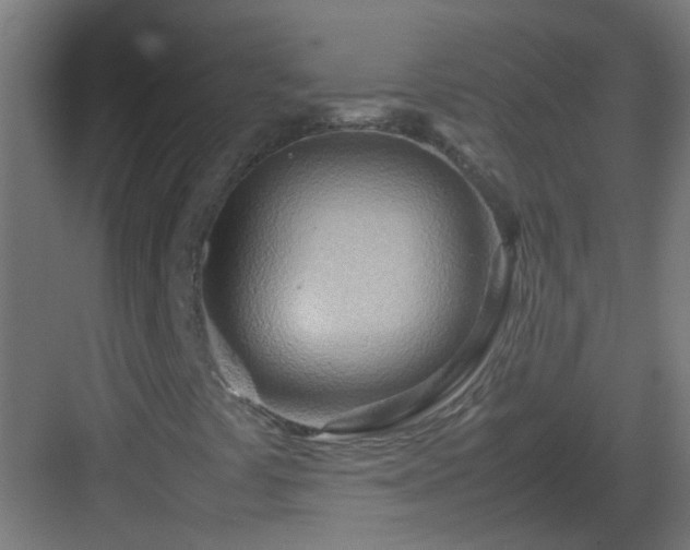 X0000082951441200702081637