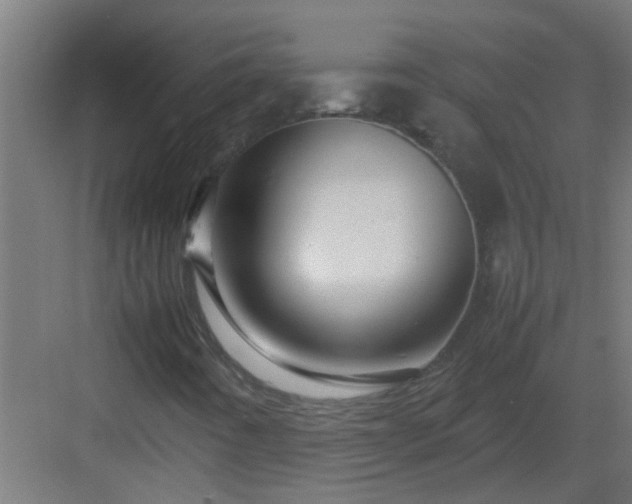 X0000082951442200702081637