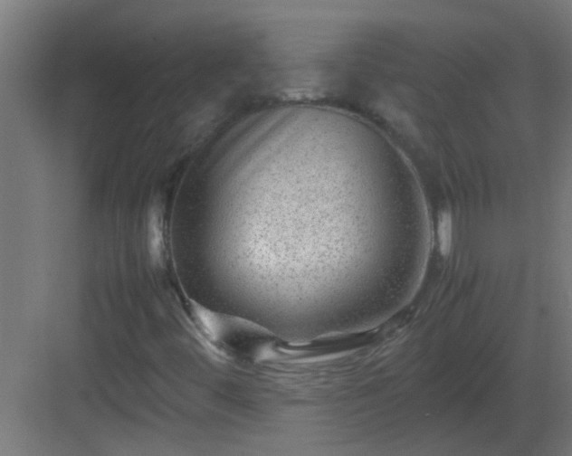 X0000082951444200702081637