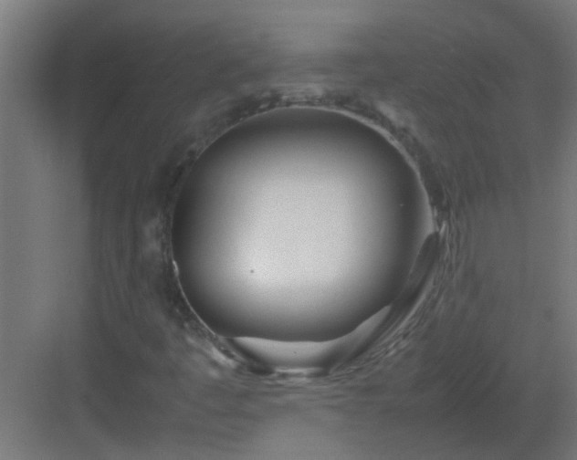 X0000082951445200702081637