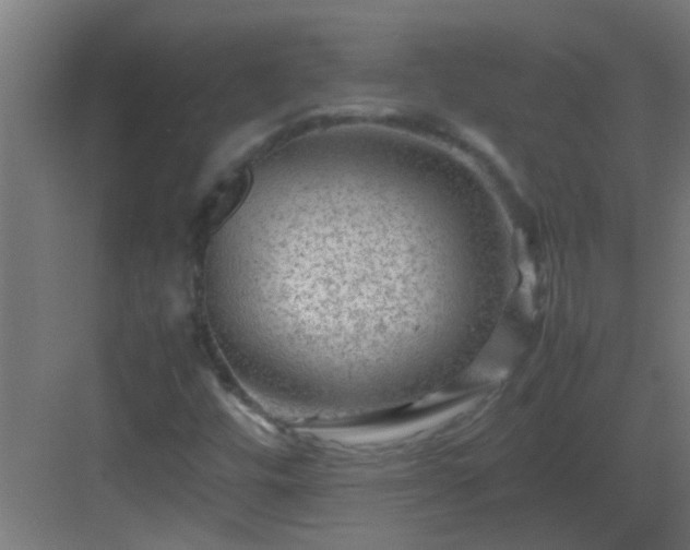 X0000082951448200702081637