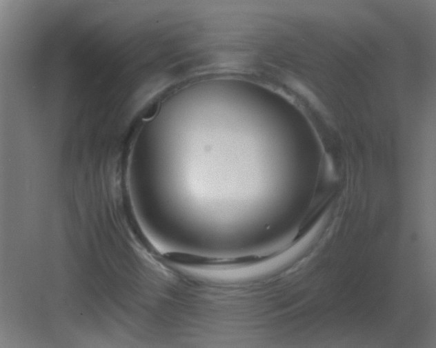X0000082951450200702081637