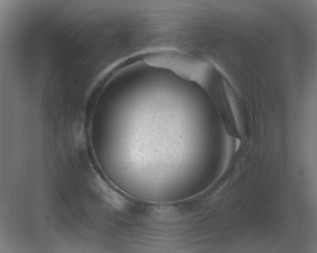 X0000082951452200702081637