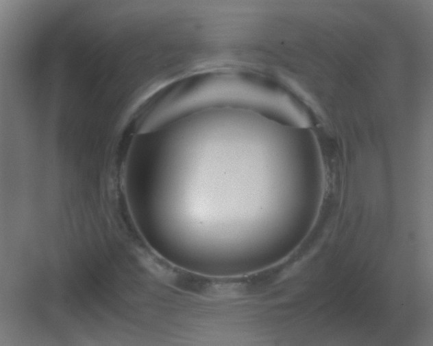 X0000082951453200702081637