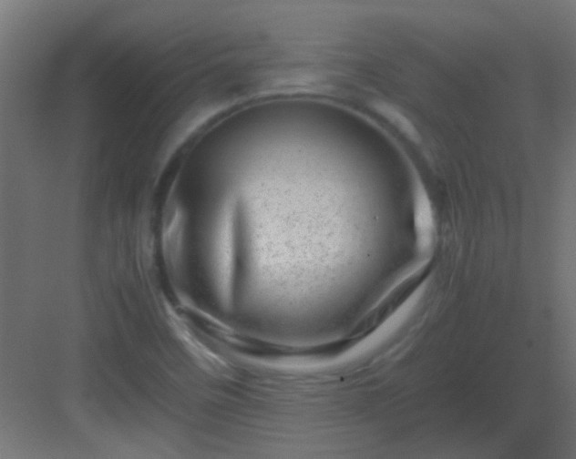 X0000082951458200702081637