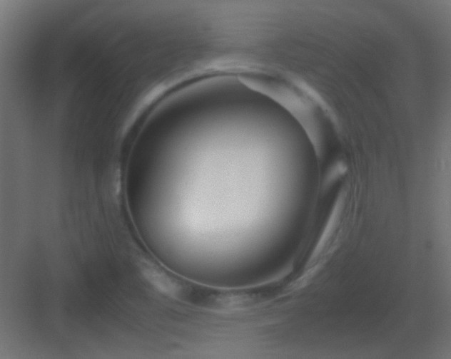 X0000082951461200702081637