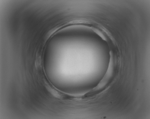 X0000082951465200702081637