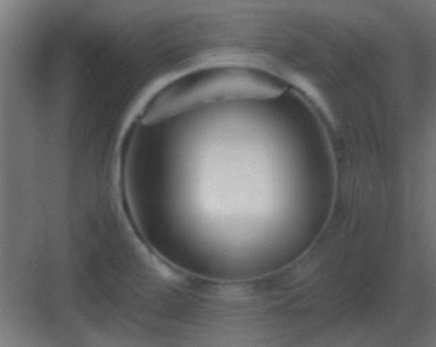 X0000082951472200702081637