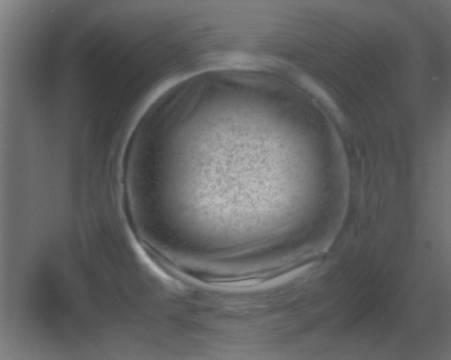 X0000082951479200702081637
