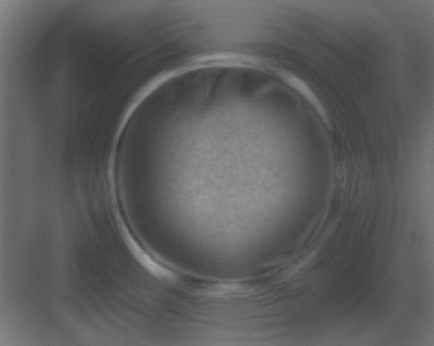X0000082951482200702081636