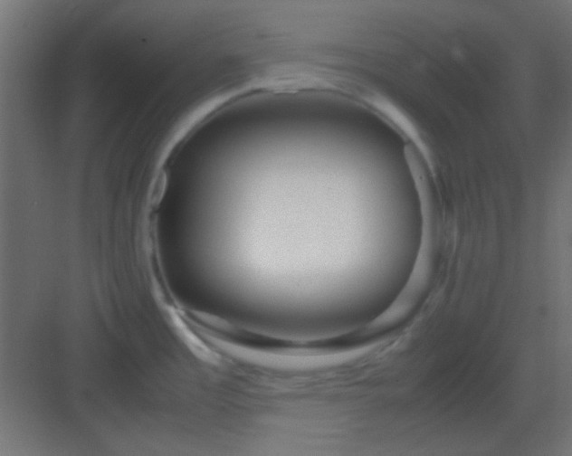 X0000082951485200702081636