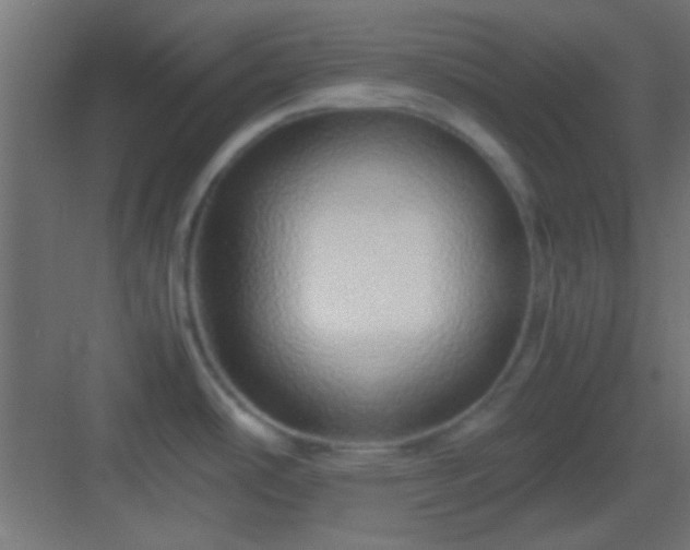 X0000082951486200702081636