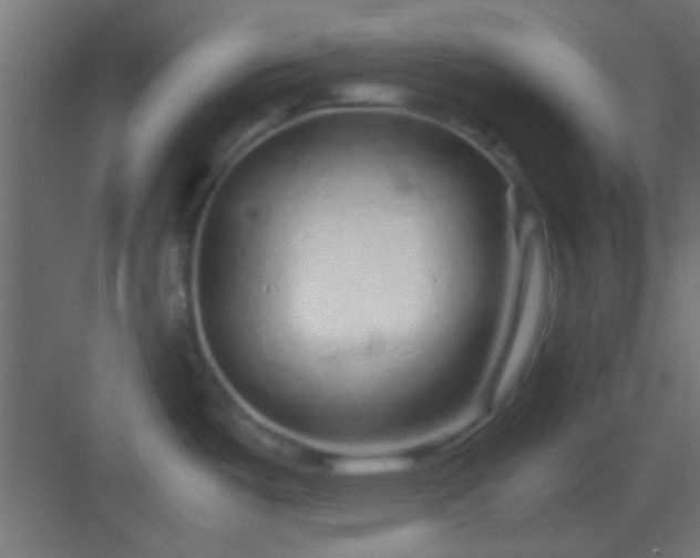 X0000082951487200702081636