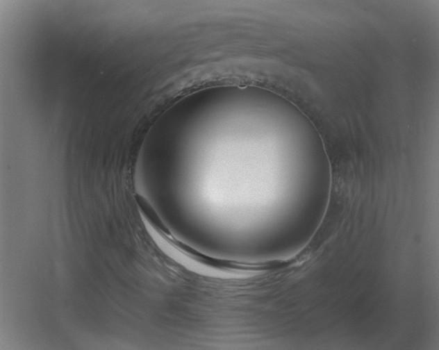 X0000082951490200702081636
