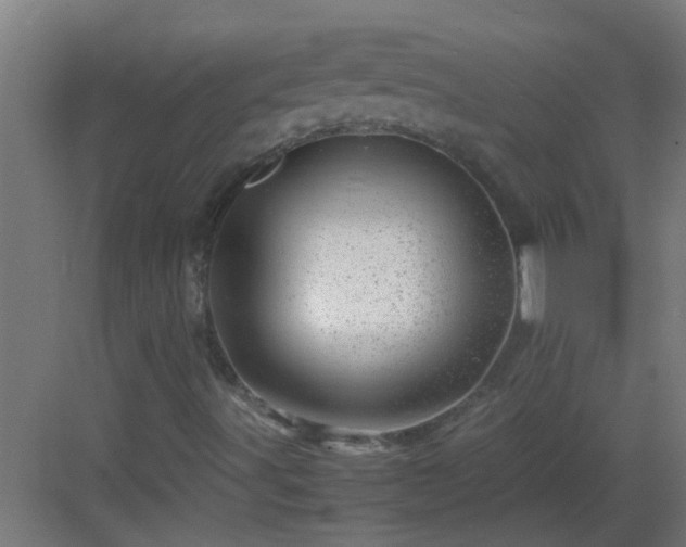 X0000082951491200702081636