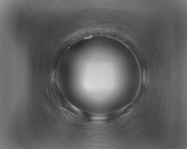 X0000082951492200702081636