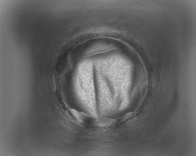 X0000082951493200702081636
