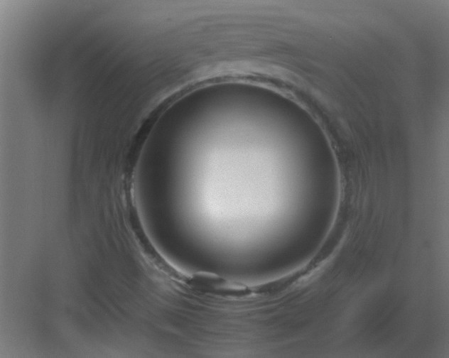 X0000082951497200702081636