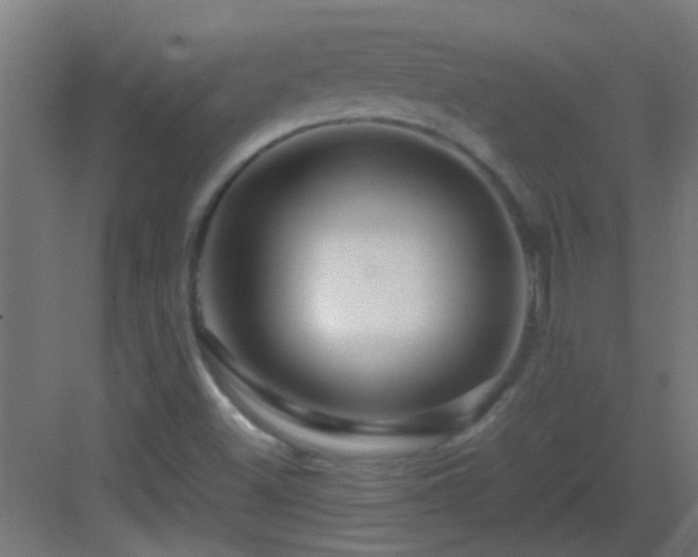 X0000082951500200702081636