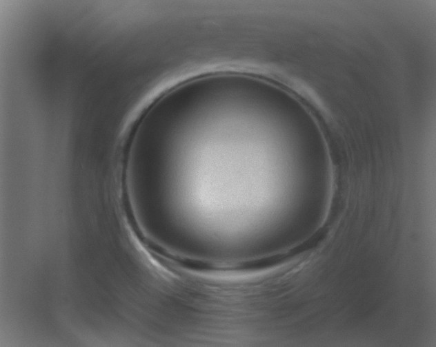 X0000082951504200702081636