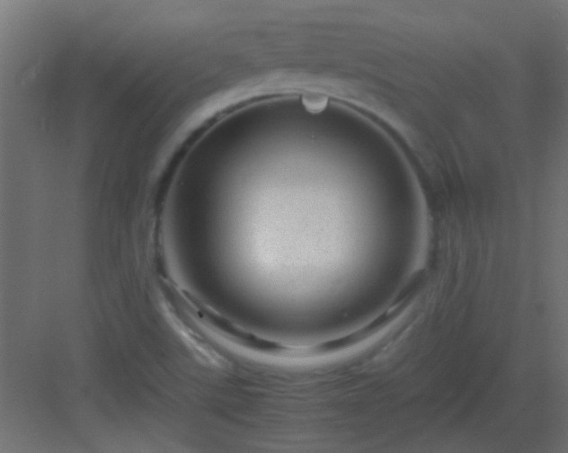 X0000082951507200702081636