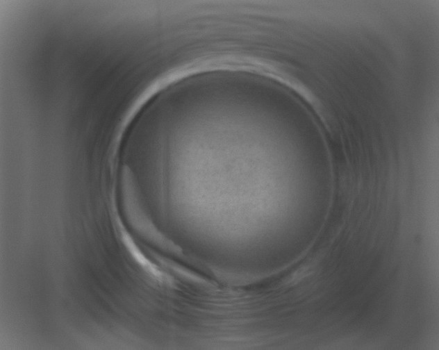 X0000082951515200702081636