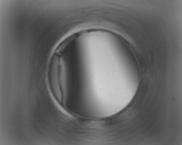 X0000082951518200702081636